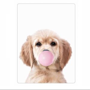 Puppy Bubble Gum Magnet